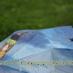 Enjoy this summer.jpg